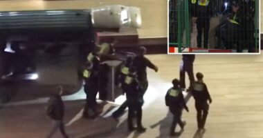 Wolf bites woman in a shopping area in Germanyâs 2nd-biggest city